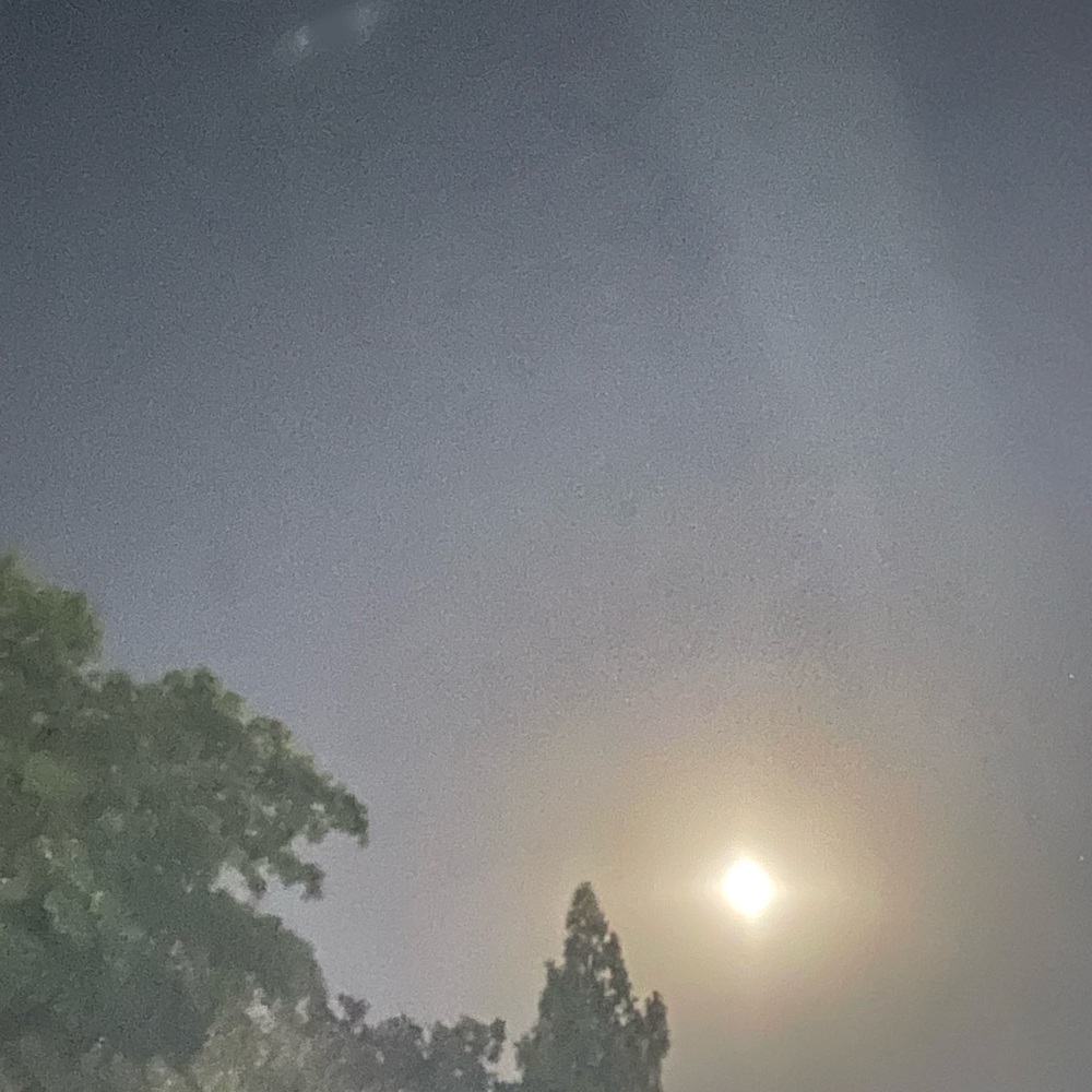 Meet your Posher, Mia